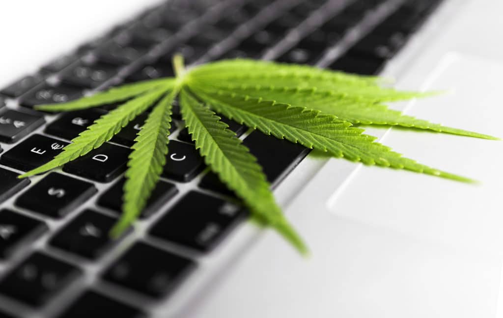 Technology in the Cannabis Industry