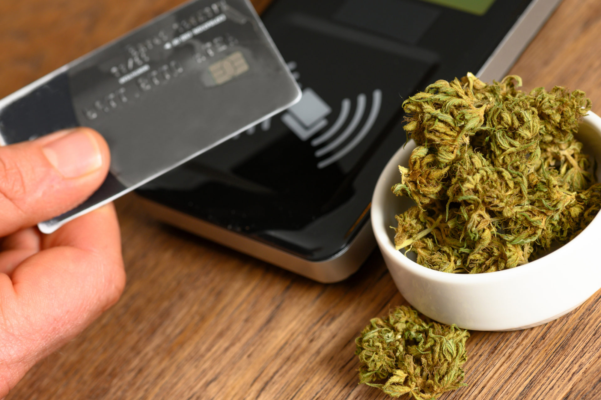 Data Security Demonstrated In The Cannabis Industry